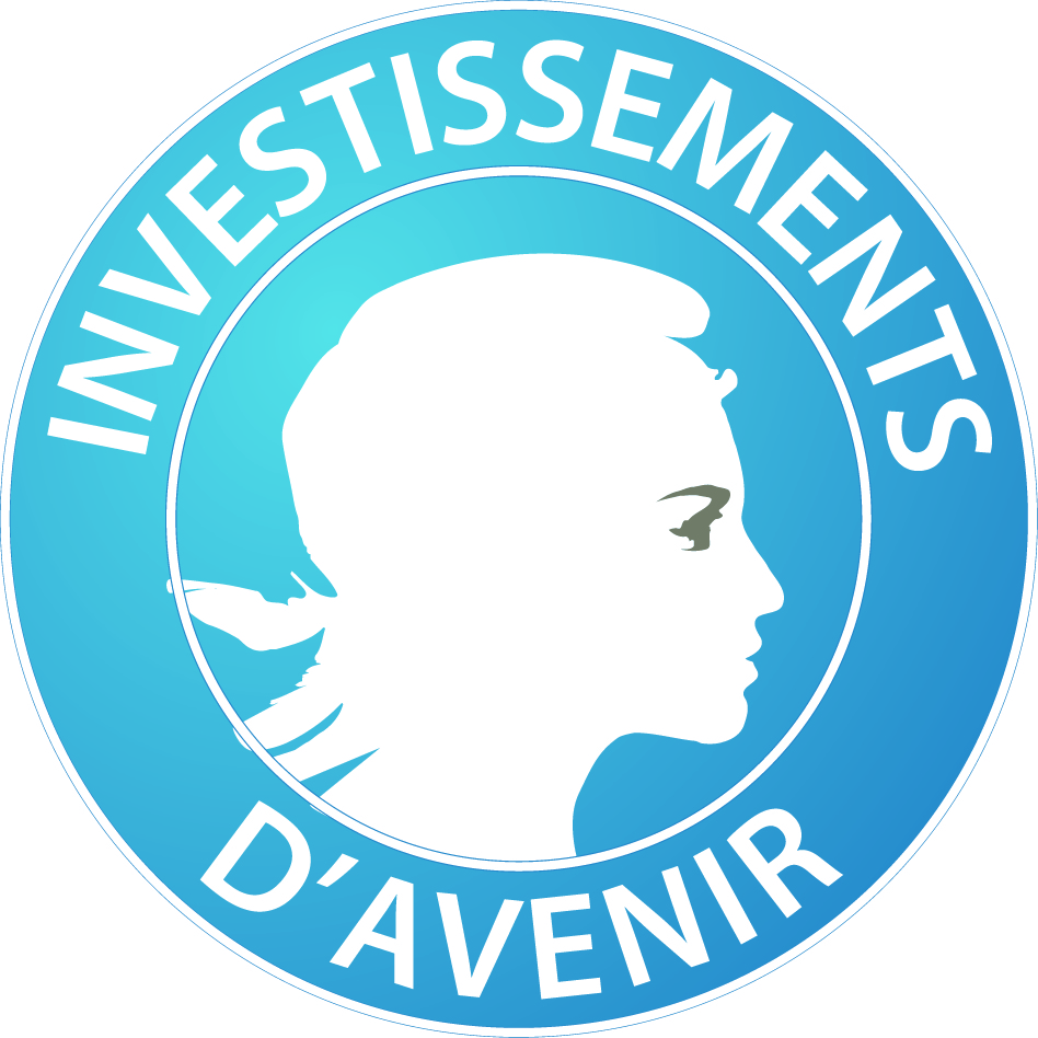 Investissements_d'avenir_-_logo