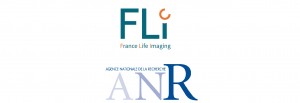 logo FLI-ANR