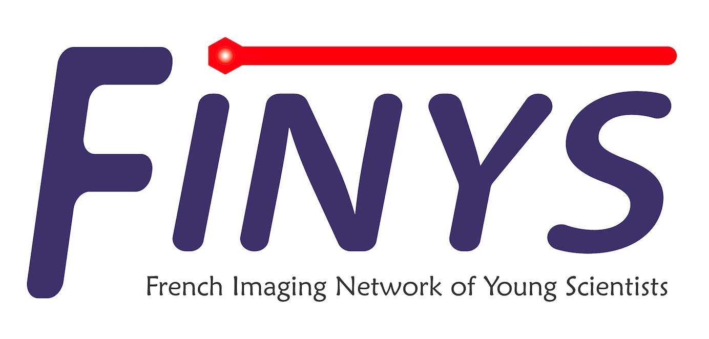 LogoFINYSweb