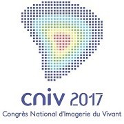 logo_cniv-60
