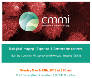 CMMI