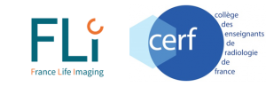Logo FLI CERF