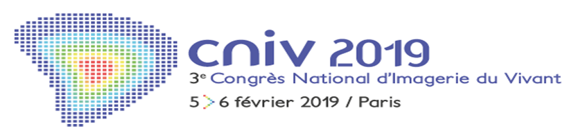 logo CNIV 2019